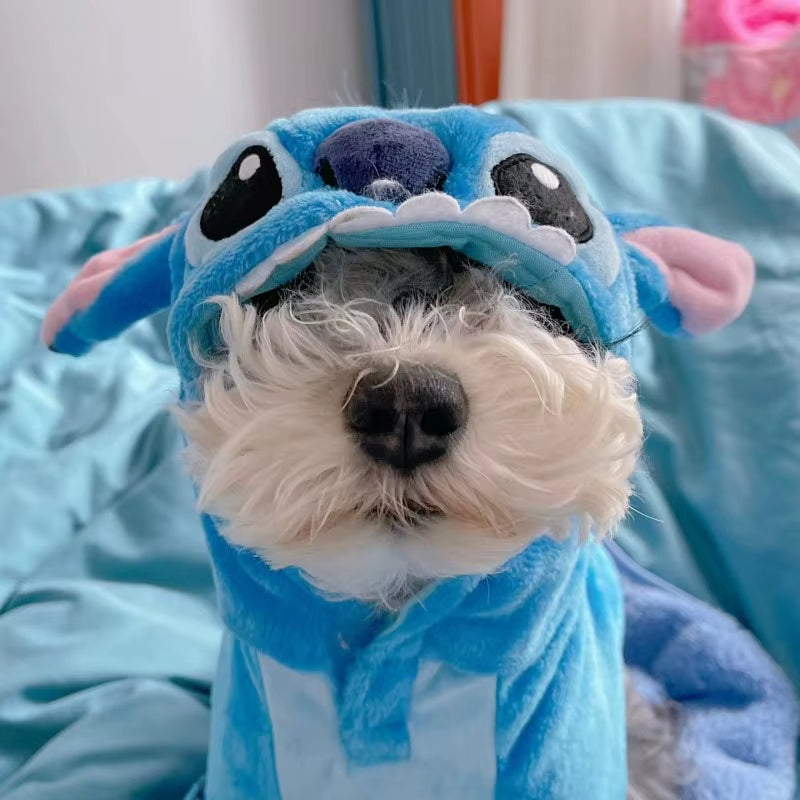 Stitch Hoodie