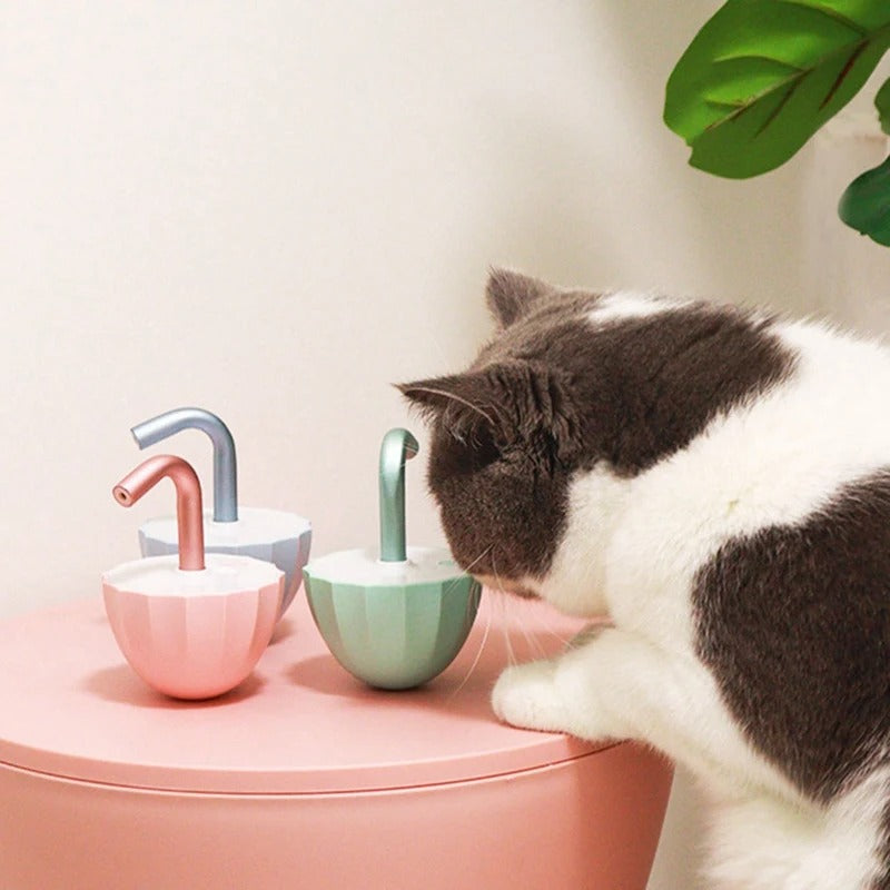 Cat Laser Chase Toy
